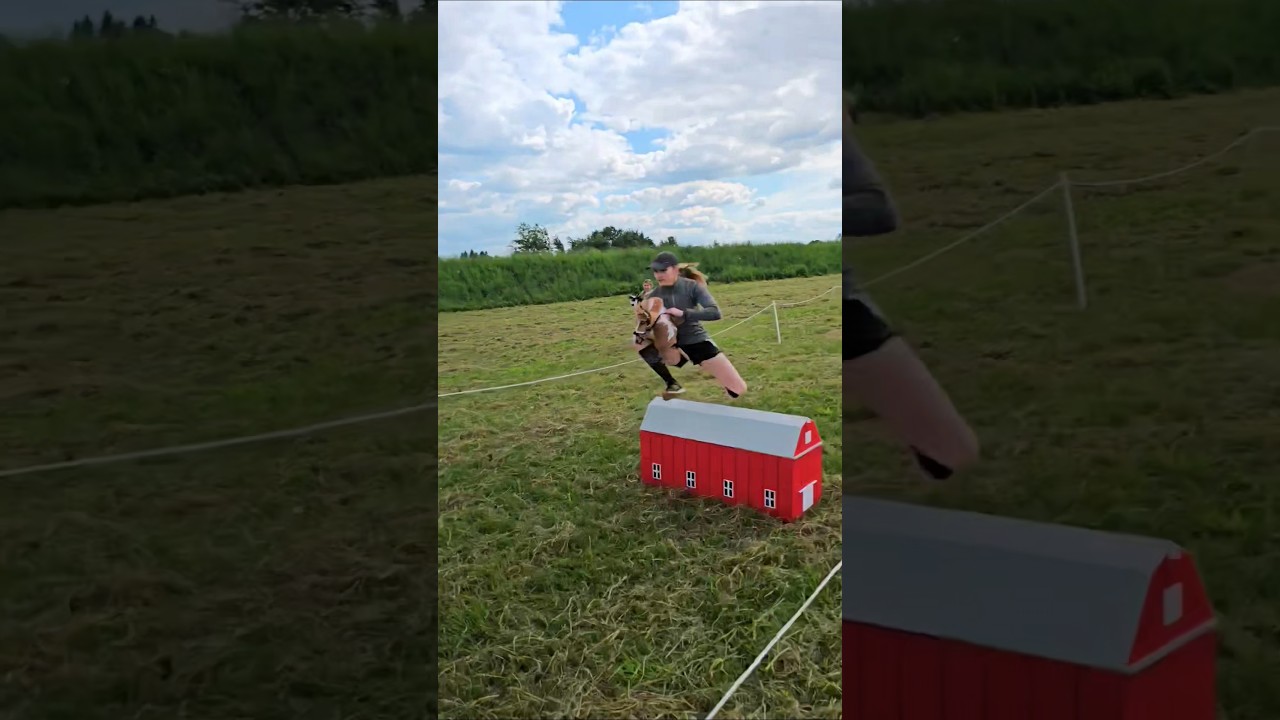CROSS-COUNTRY COMPETITION! 🤩💥 #hobbyhorse #hobbyhorsing #horses #fyp #therian #furry