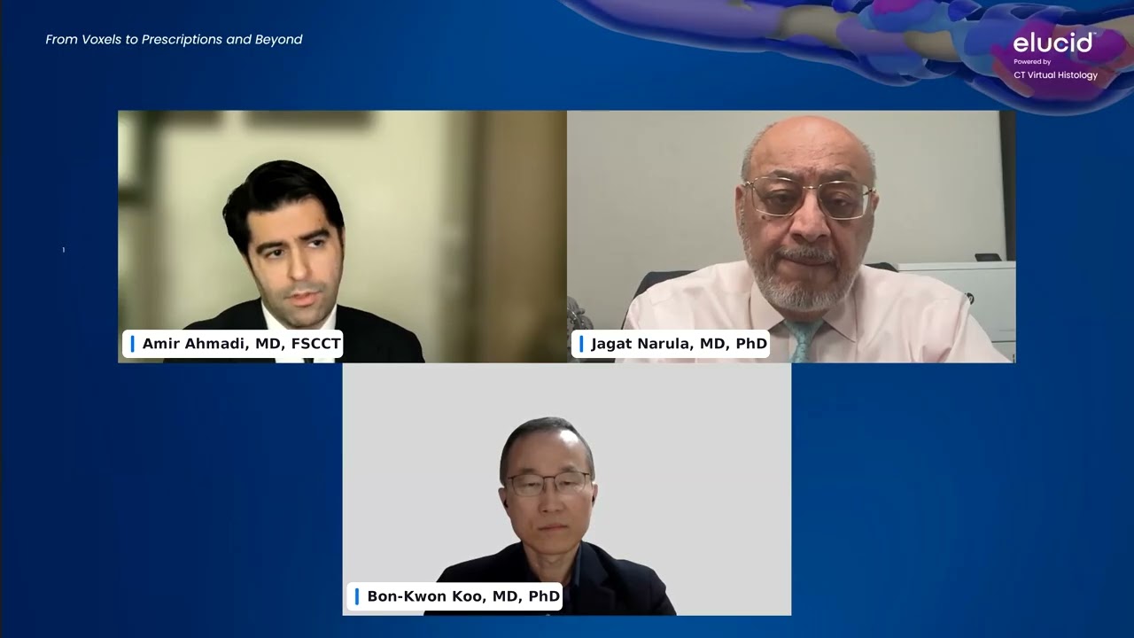 Sponsored webinar | From voxels to prescriptions and beyond