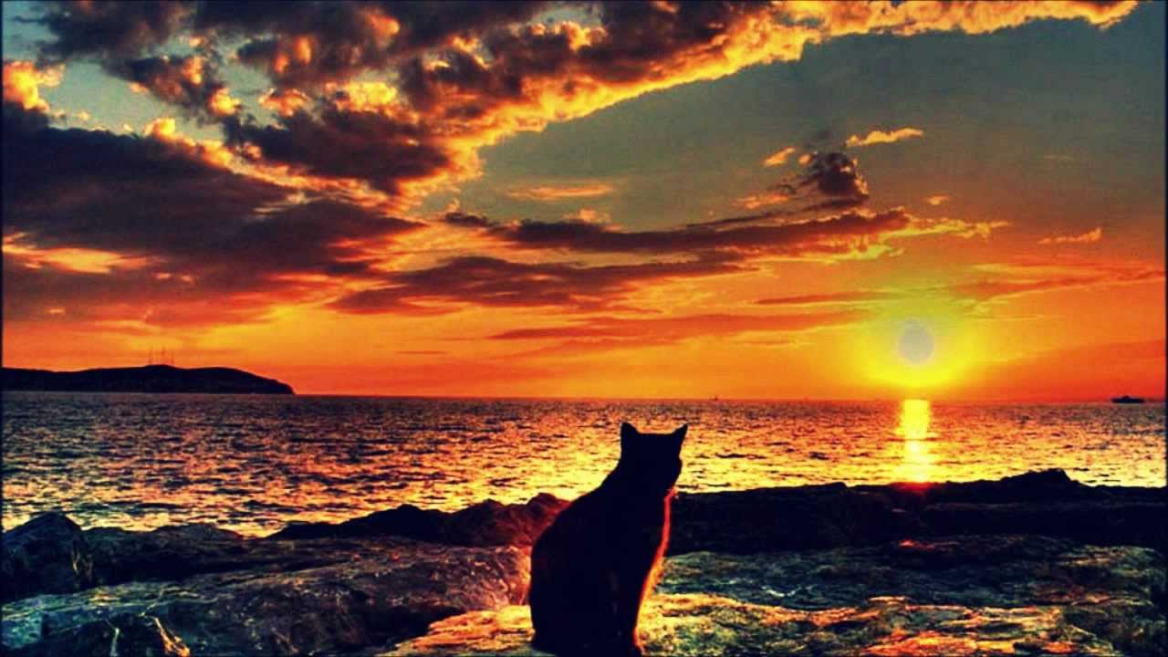 Kenneth Bager feat. Nikolaj Grandjean - Love Won't Leave Me Alone
