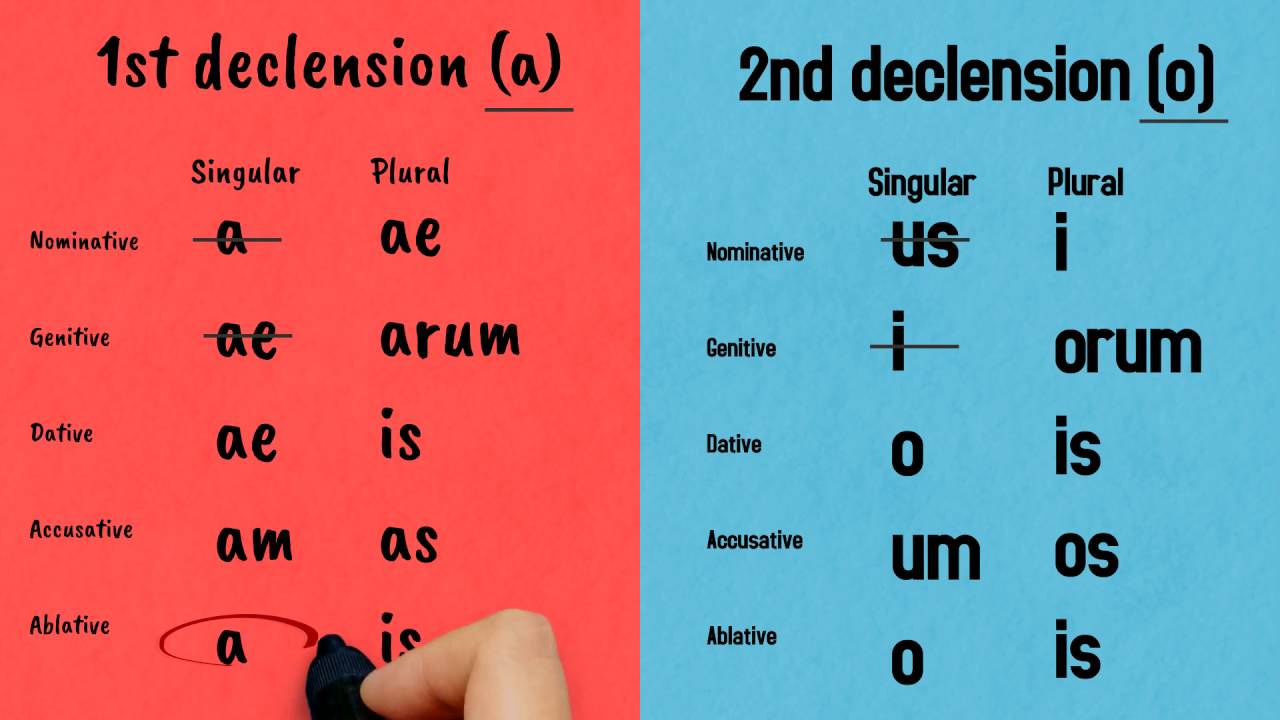 Learning the First and Second Declension Forms