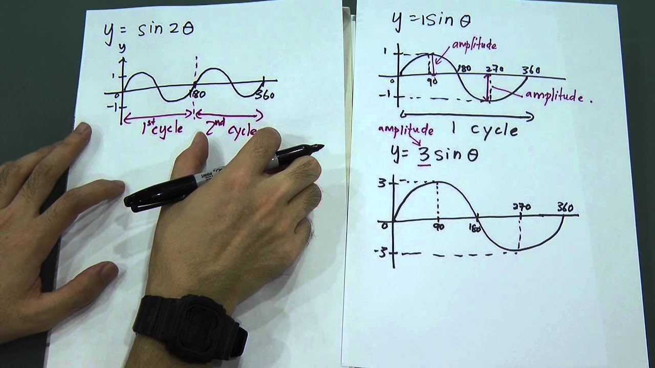 Trigonometric Function- Sin Graph