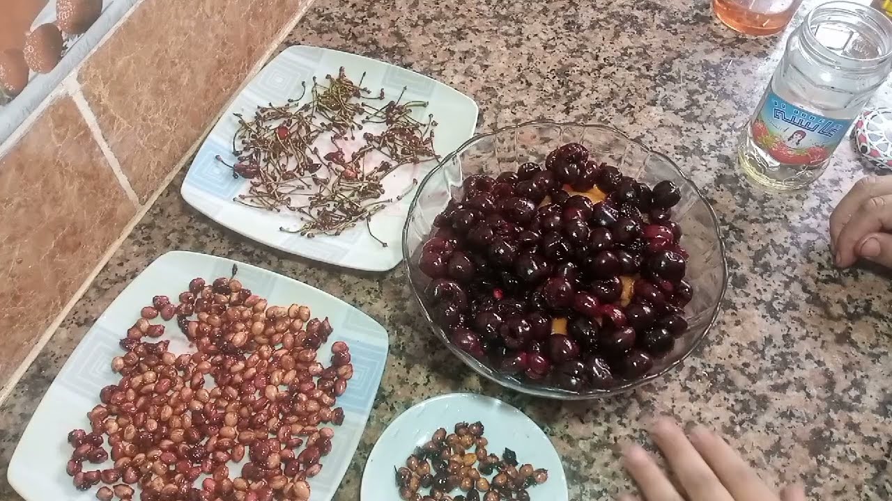 بالعضم( النوى) حب الملوك علاج مجاني للبرود السياتيك الشقيقة الخ