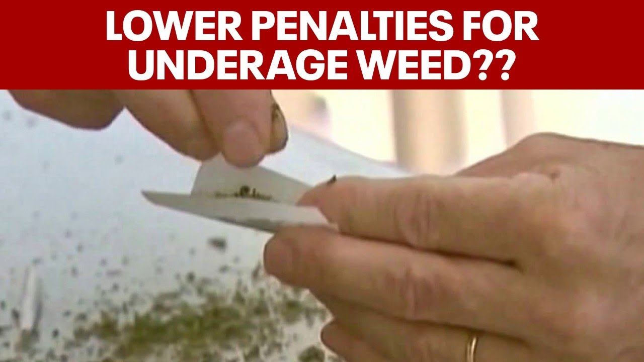 Virginia bill would reduce penalties for underage drinking, marijuana possession