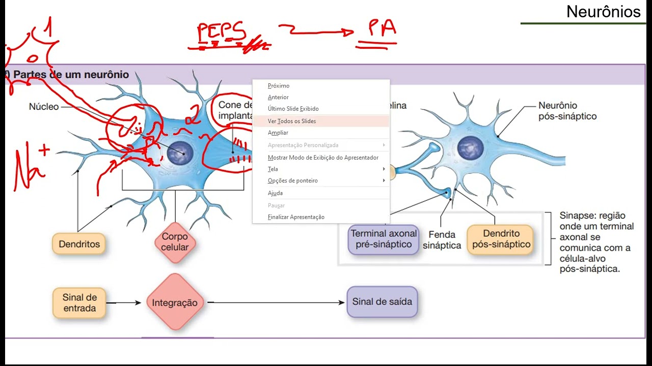 Biofísica do neurônio - Potencial de Ação