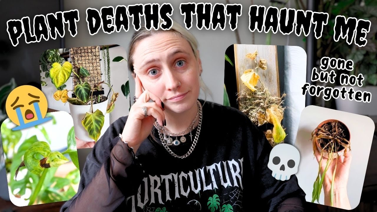 Plants That Died&hellip; and Still Haunt Me 🕯️👻