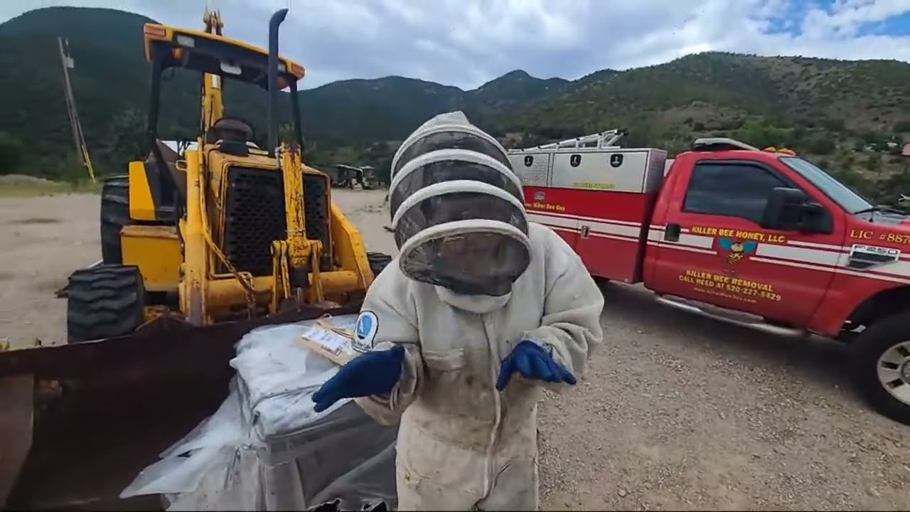 Honey Laundering Reveal!!