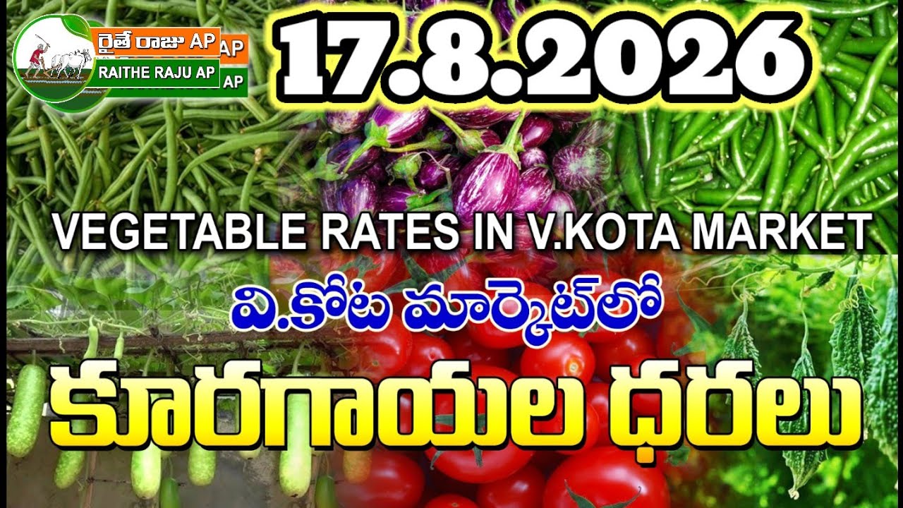 #AMC V.KOTA TODAY BEANS PRICE IN MARKET #ALL VEGETABLE PRICES #marigold 