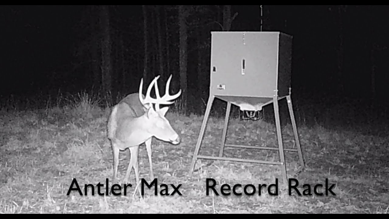 Purina Antler Max vs Record Rack Sportsman 20 (LRR)