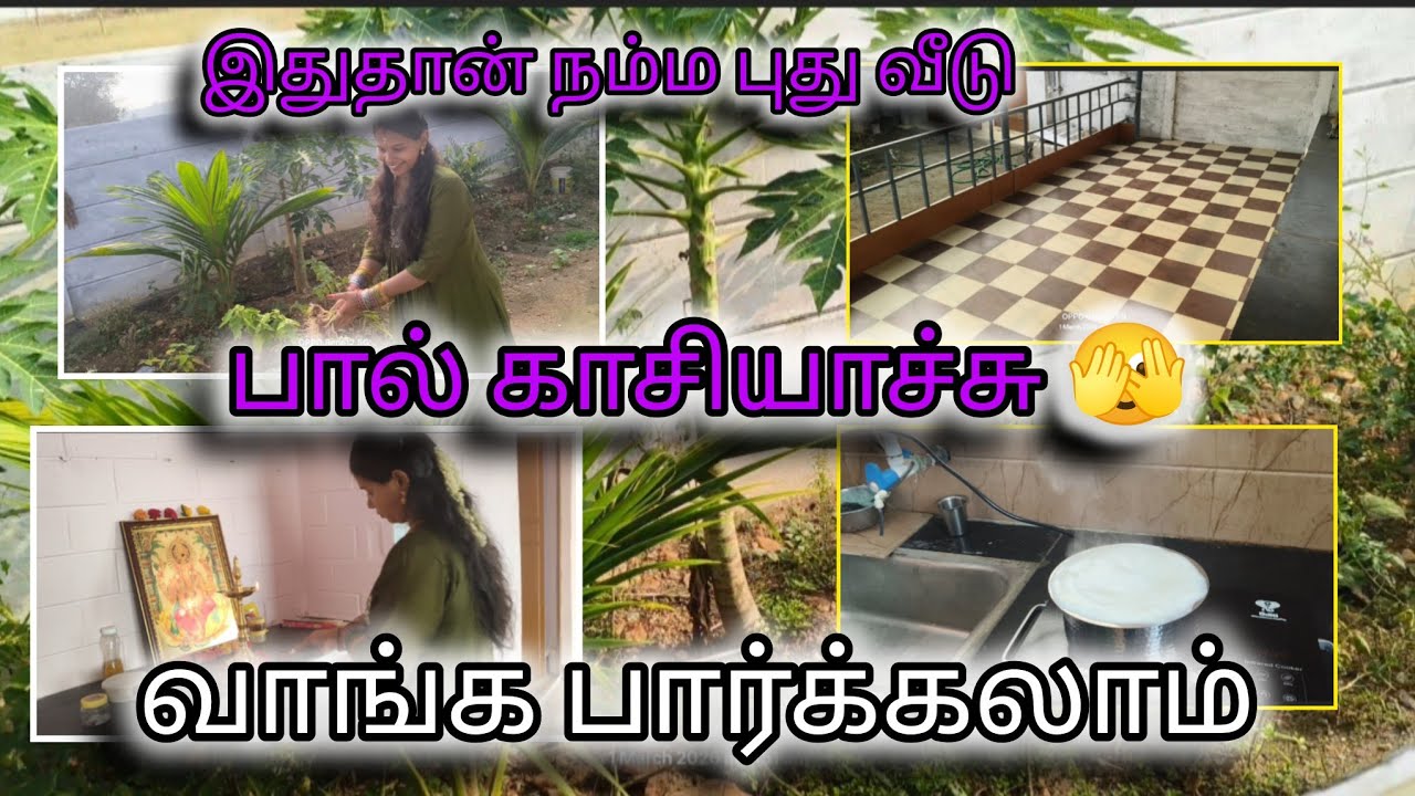 நம்ம புது வீடு 🏘️ பால் காச்சியச்சு வாங்க பார்க்கலாம் 🥰#trendingvideo #vlog #familyvlog 