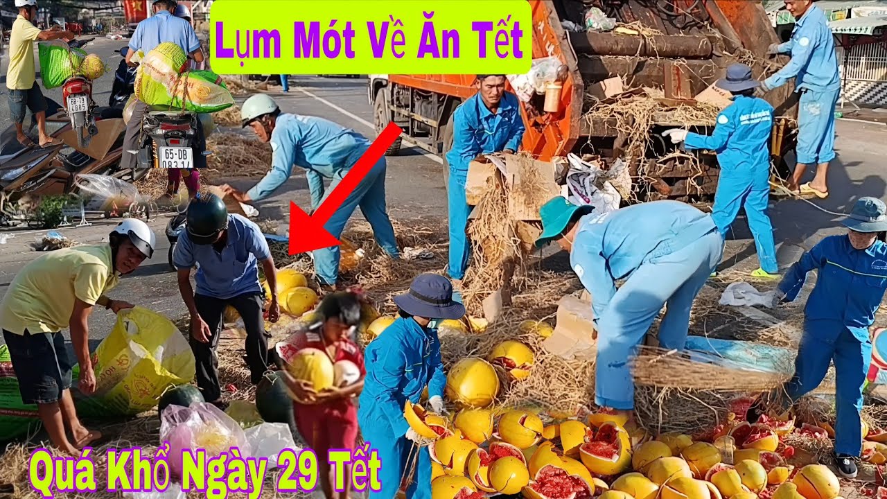 Lụm mót Dưa Hấu về ăn Đón giao thừa ngày 29 tết.cảnh khổ người dân xuân bính ngọ!