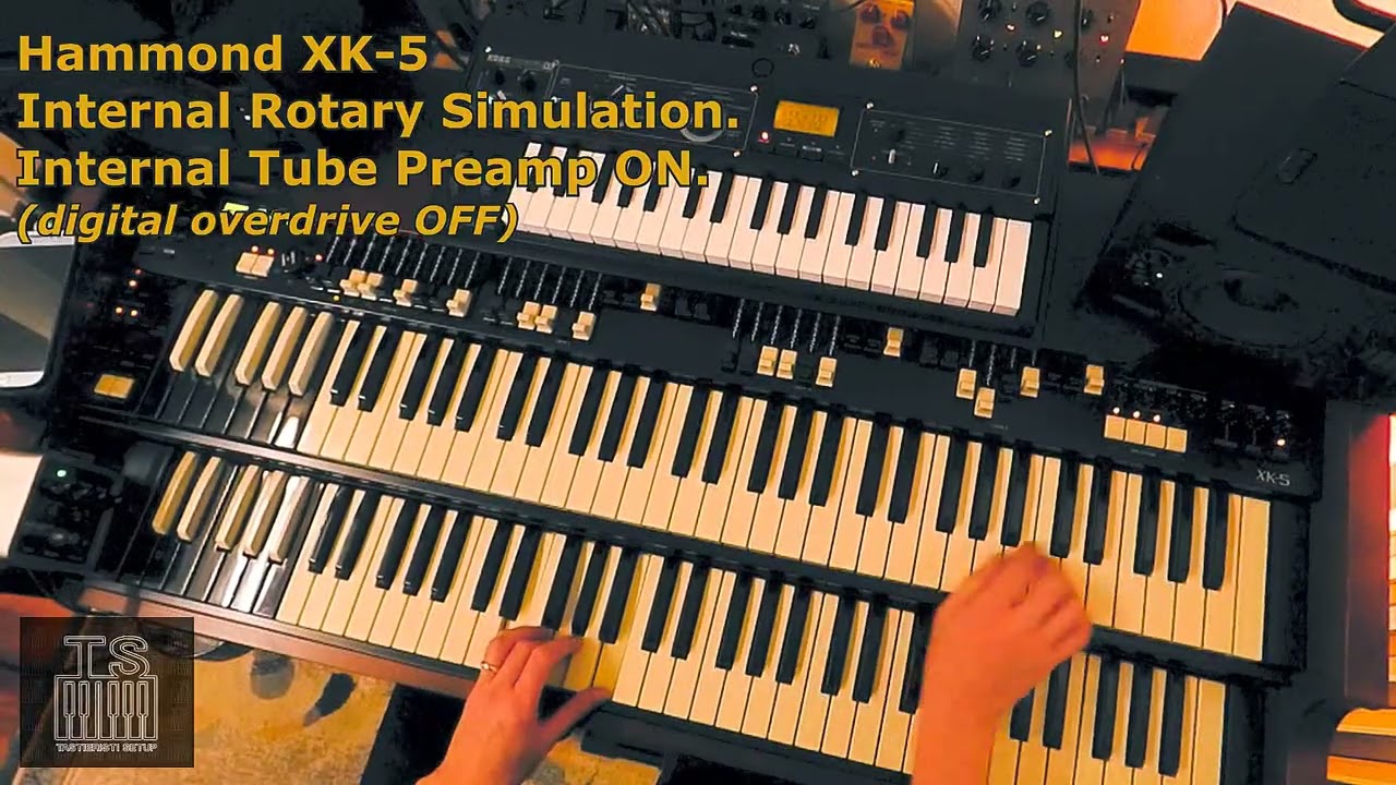 Hammond XK5 & Korg MicroKorg XL Plus 