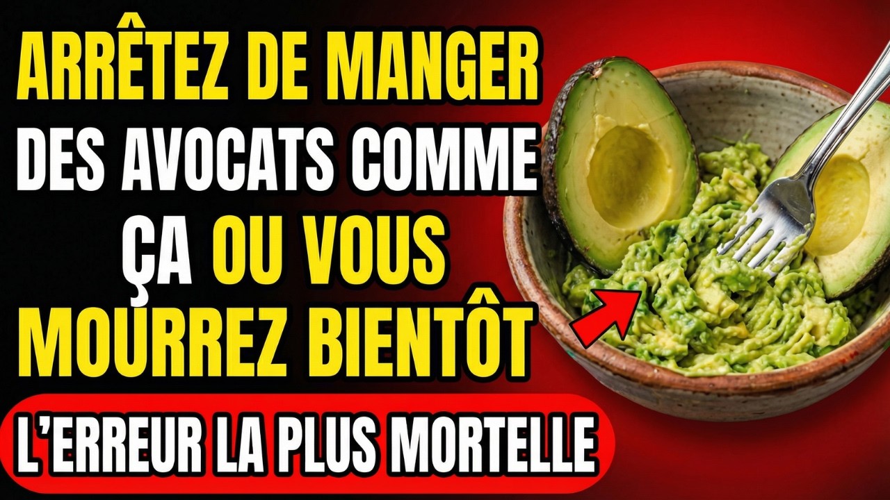 VOUS MANGEZ DES AVOCATS ? ÉVITEZ CES 10 ERREURS DANGEREUSES QUE TOUT ADULTE DOIT CONNAÎTRE