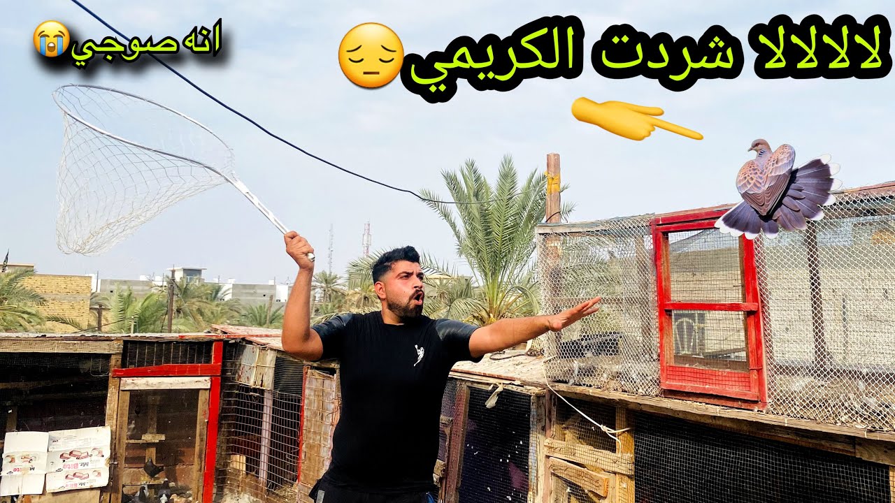 طيرتكم لبلمحميه شردت ياولد😔