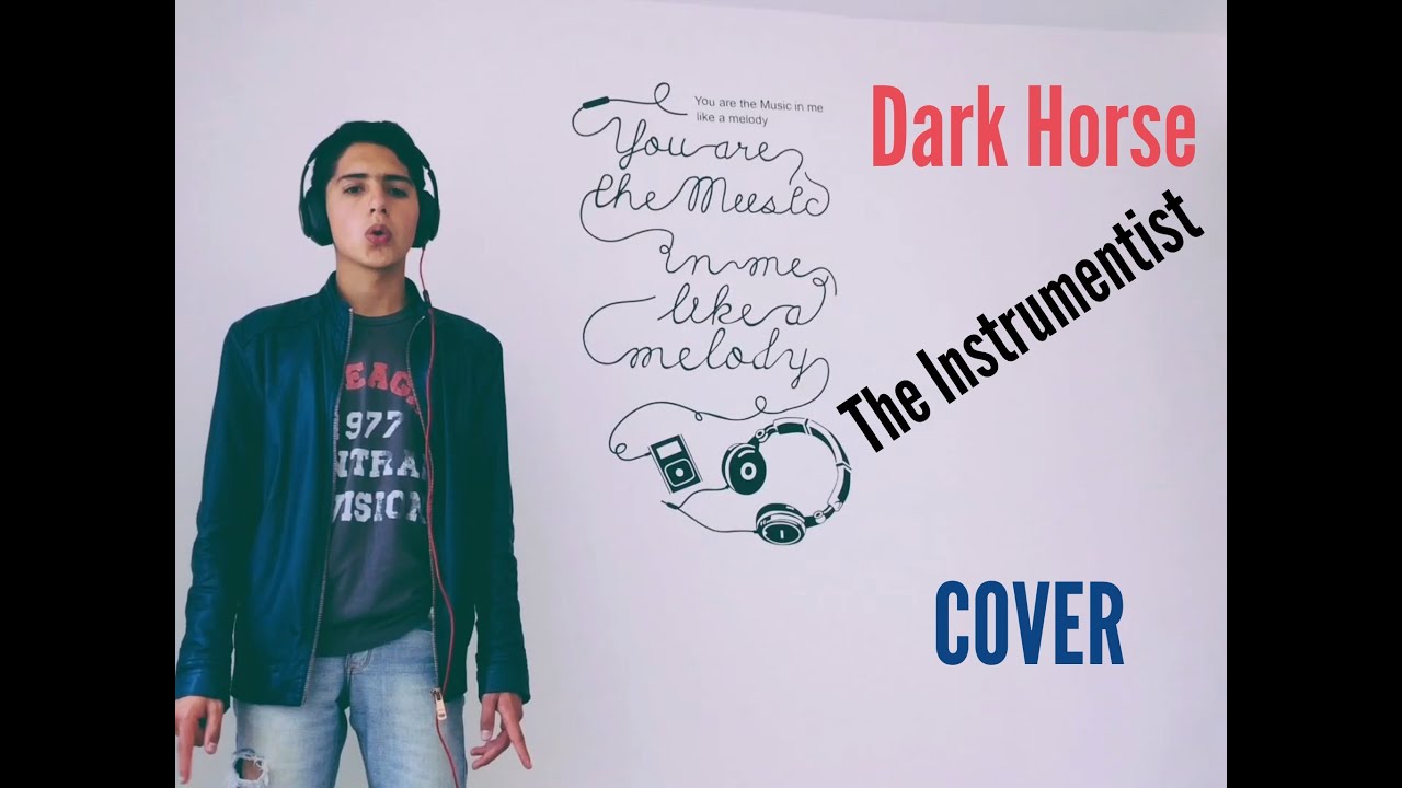 Dark Horse - Katy Perry (The Instrumentist Cover)