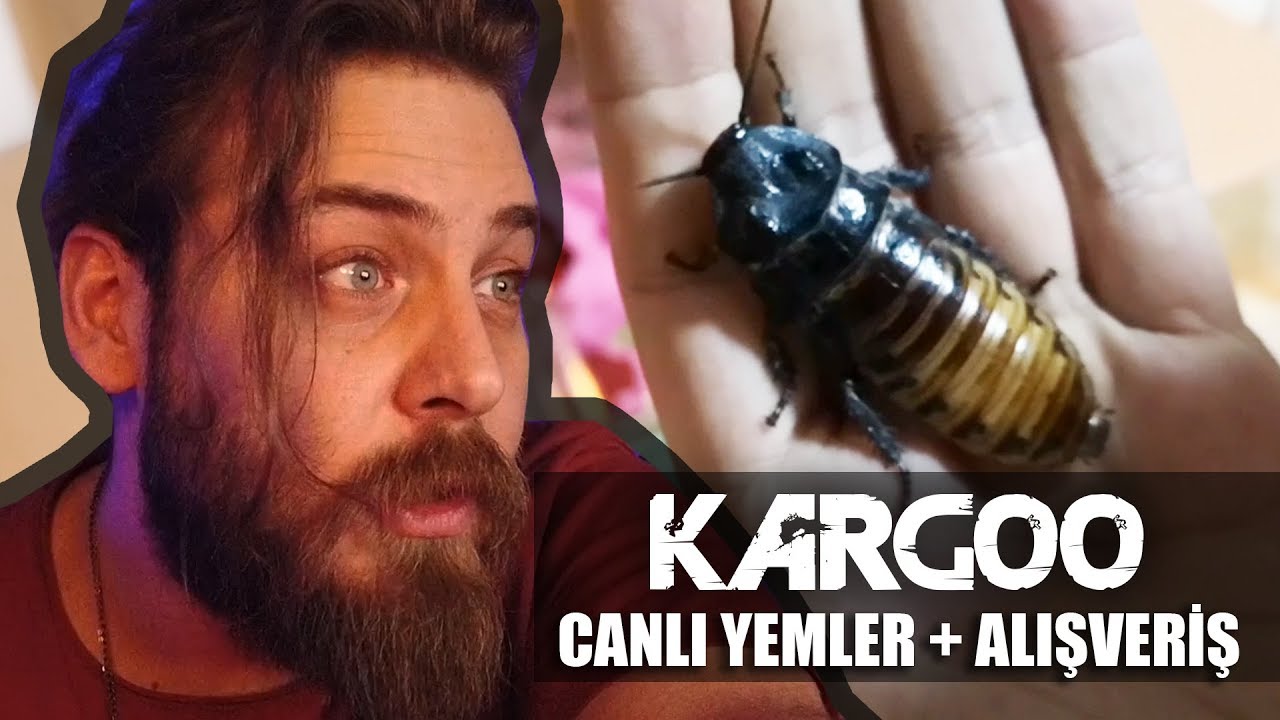 KARGO AÇILIMI - GIMIL GIMIL DEV BÖCEKLER VE ALIŞVERİŞ / BESLEME