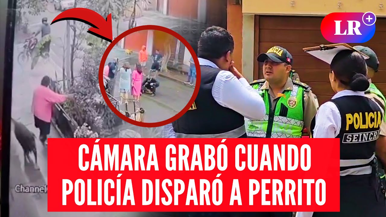 Cámaras CAPTAN el PRECISO MOMENTO en que POLICÍA mata a balazos a un PERRITO en SJL | #LR