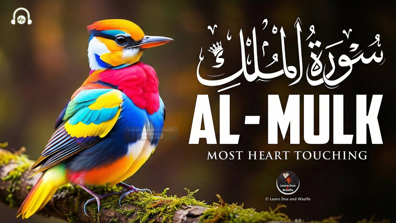Surah Al Mulk with Urdu Translation | Night Protection | Beautiful & Healing Tilawat | #surahalmulk