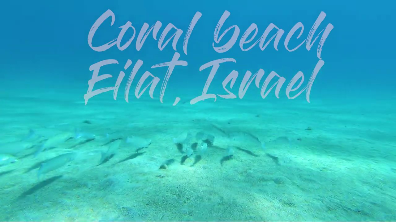 Coral Beach - Diving in Eilat, Israel