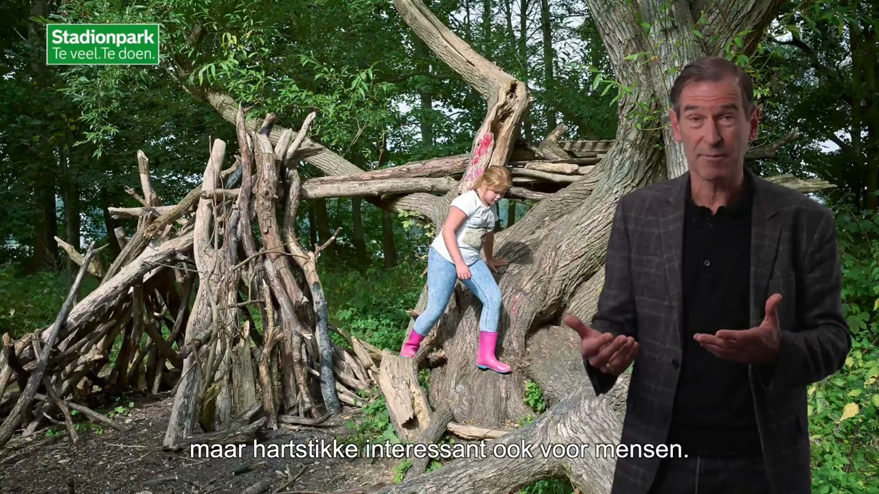 Stadionpark: vol kansen