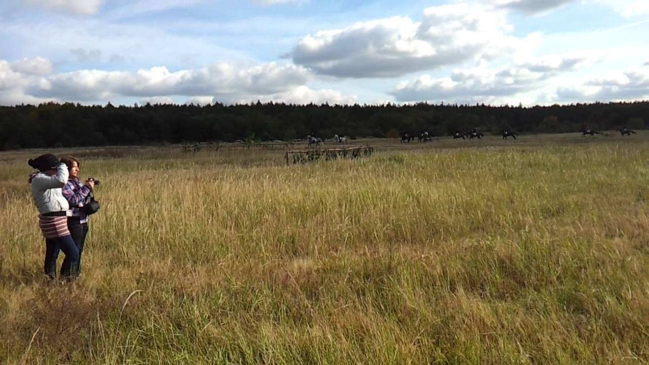 Hubertus 2011 Stado Ogier&oacute;w w Gnieźnie cz.4 HD
