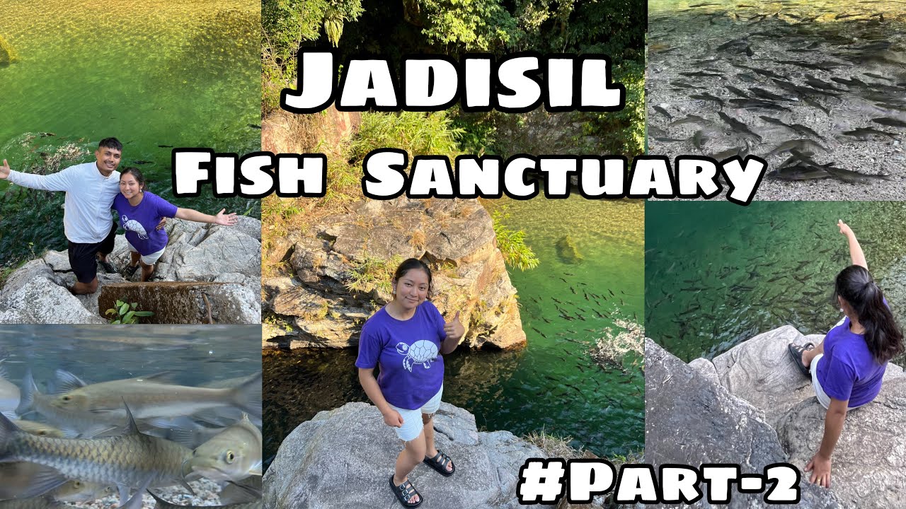 Погружение в рай: рыбный заповедник Джадисил 🌳🐟 Часть 2