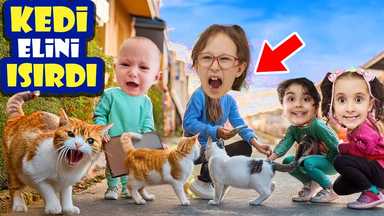 BAHARIN ELİNİ KEDİ ISIRDI !! KEDİLERİ BESLEDİK !! BAHAR BANU ALYA ASEL MİRA !!