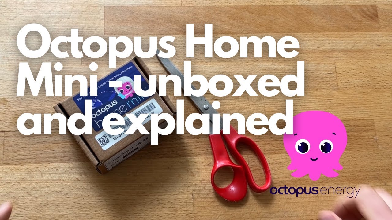 Распаковка Octopus Home Mini — что он делает?