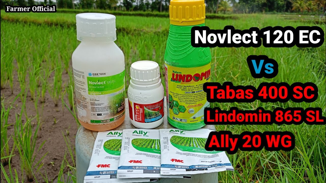 Hasil Uji Pembuktian Herbisida Novlect Vs Oplosan Herbisida Tabas, Lindomin & Ally WG