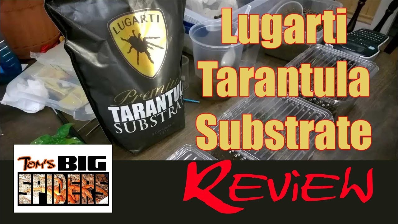 Lugarti Premium Tarantula Substrate Review
