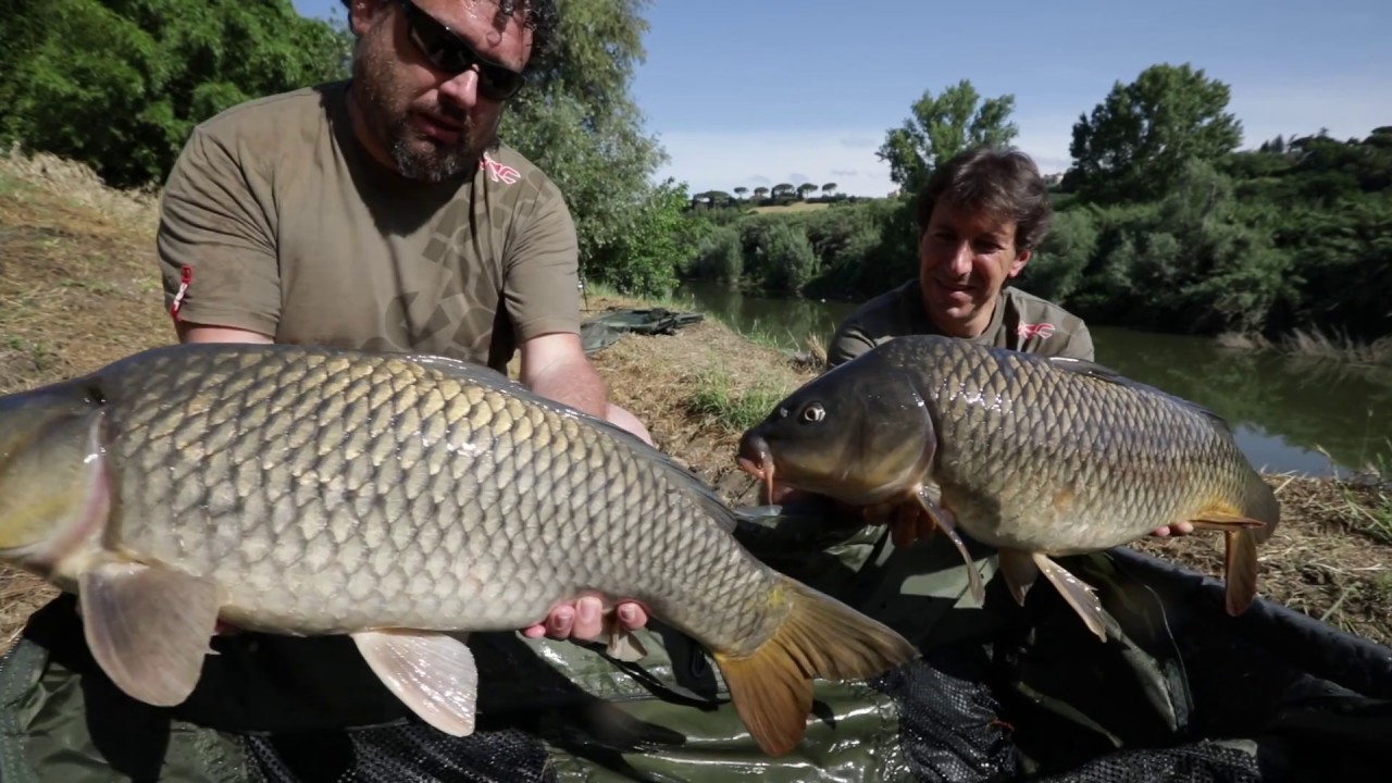 Carpfishing in fiume (JRC)