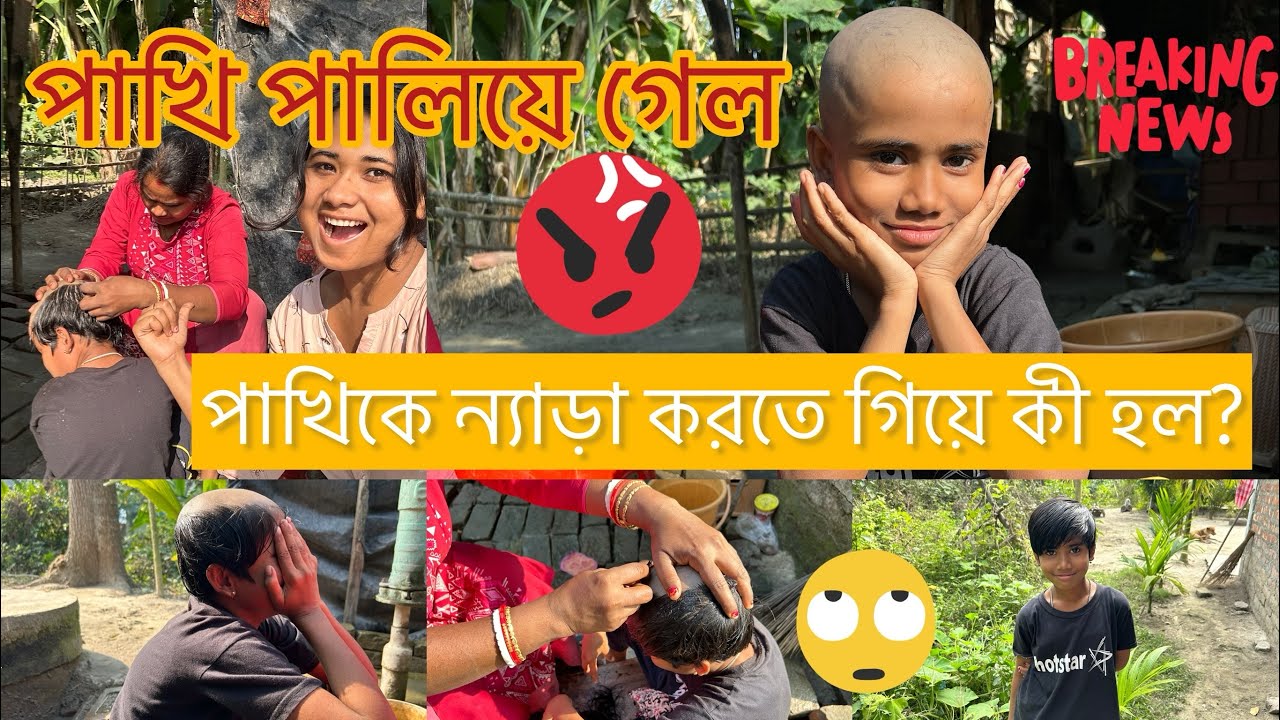 পাখিকে ন্যাড়া করতে গিয়ে কী হল?|| #connected_by_colours_ #comedy #fun #vlog