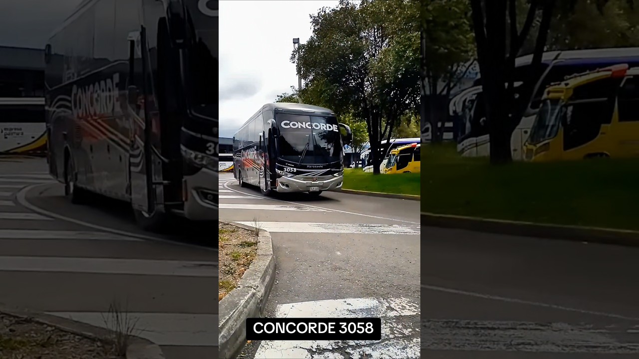 CONCORDE 3058 #bus #busologia #vallenato #buses #colombia
