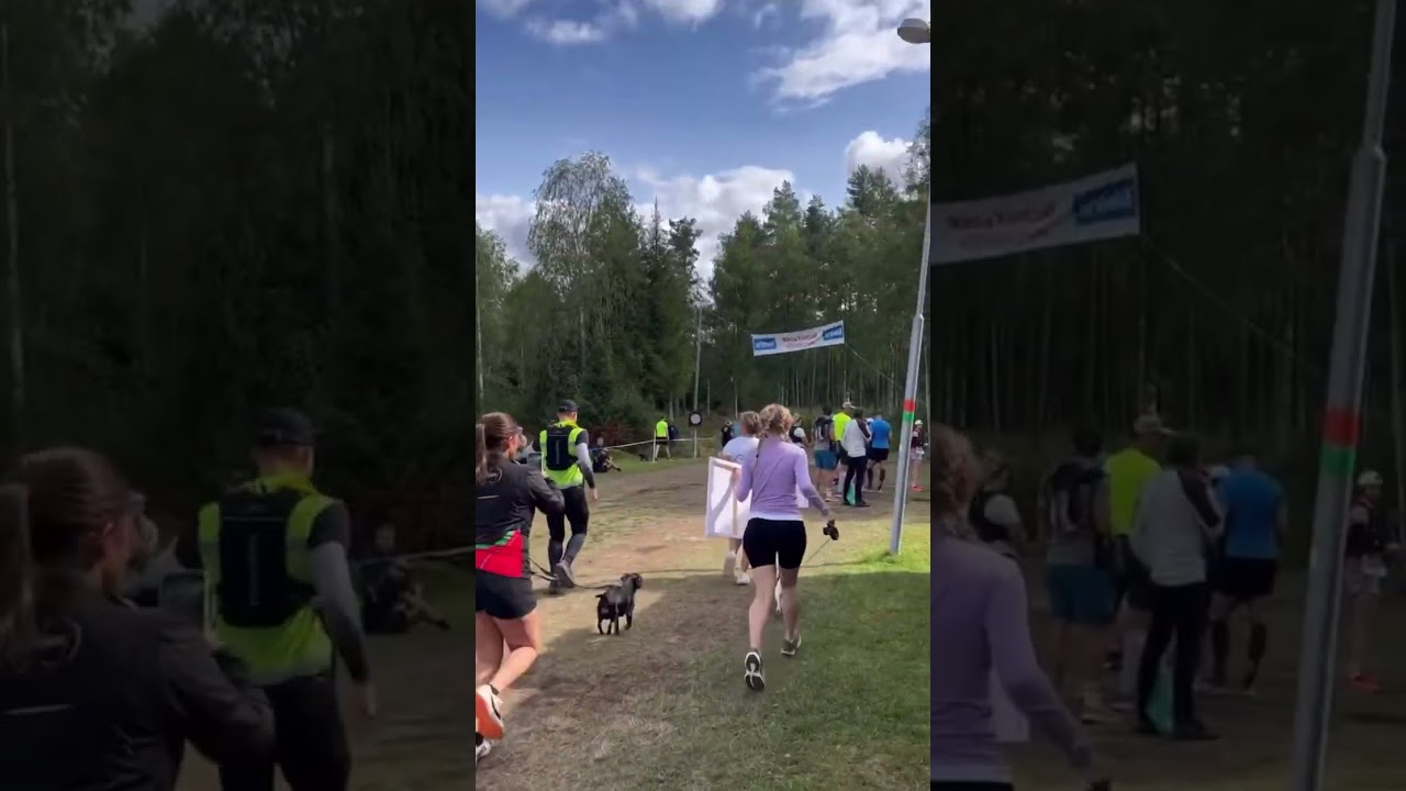 Ultravasan 90🏃&zwj;♂️&zwj;➡️ #ultravasan #ultravasan90