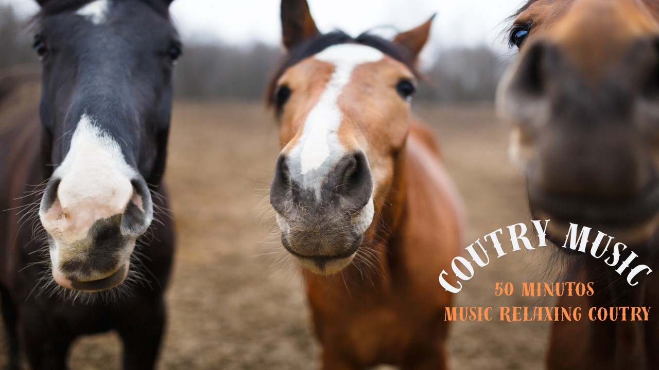 👉 Ultimate Classic Country Playlist 🐎 Best Horse Riding Music Collection 50 minutos