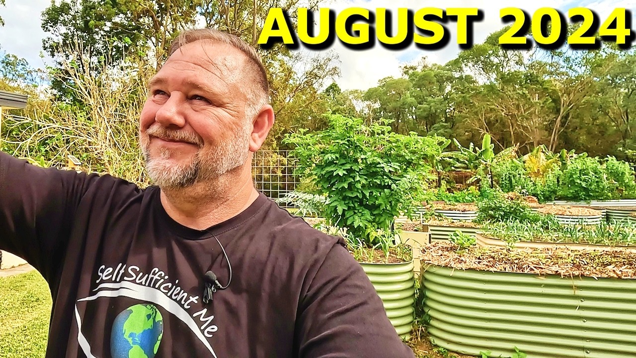 Full Raised Bed Vegetable Garden Tour August 2024