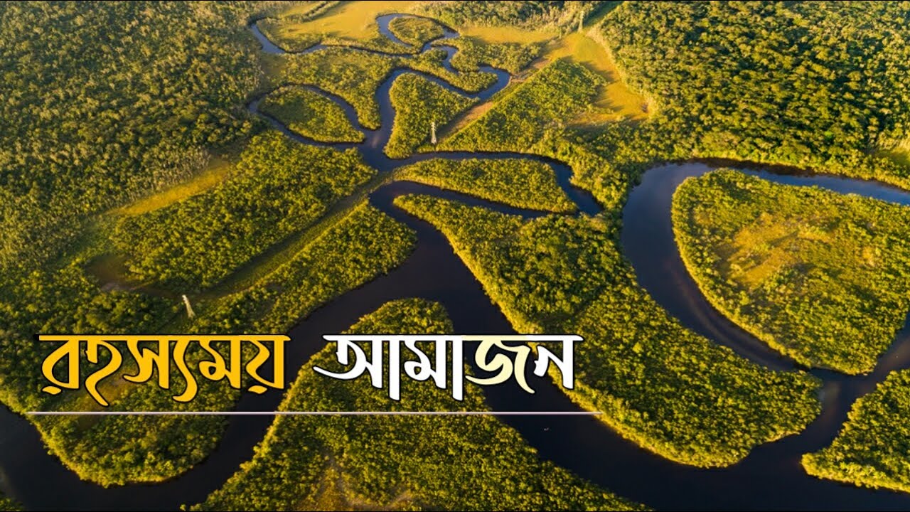 আমাজন বন | Amazon Rainforest | পৃথিবীর সবচেয়ে বড় বনাঞ্চল | বৈচিত্র্যময় বন আমাজন জঙ্গল | DORPON.