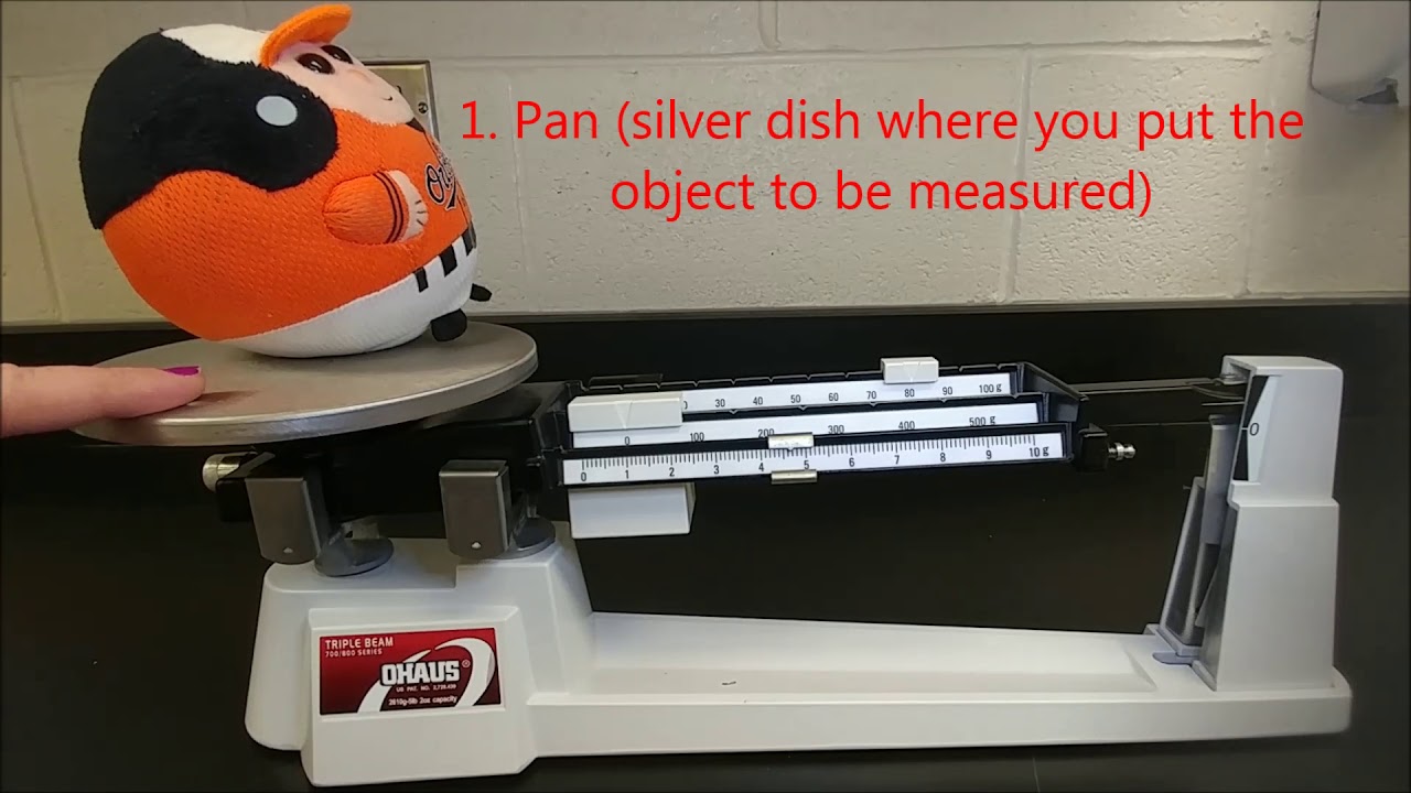 Parts to a triple beam balance