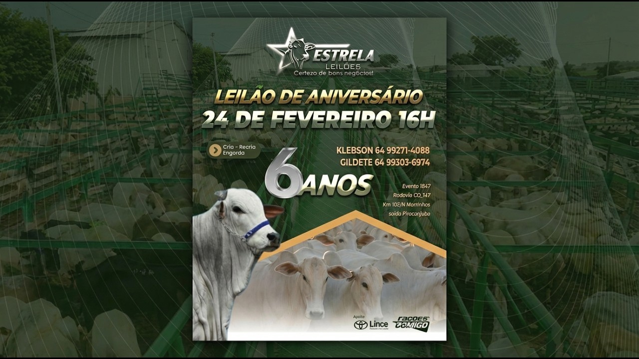 ESTRELA LEILÕES -  24 / 02 / 2026 -  16:00 HS. - Morrinhos  - Goiás