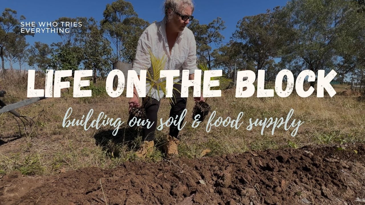 Starting a Food Forest on Poor Soil | Off-Grid Gardening in Australia