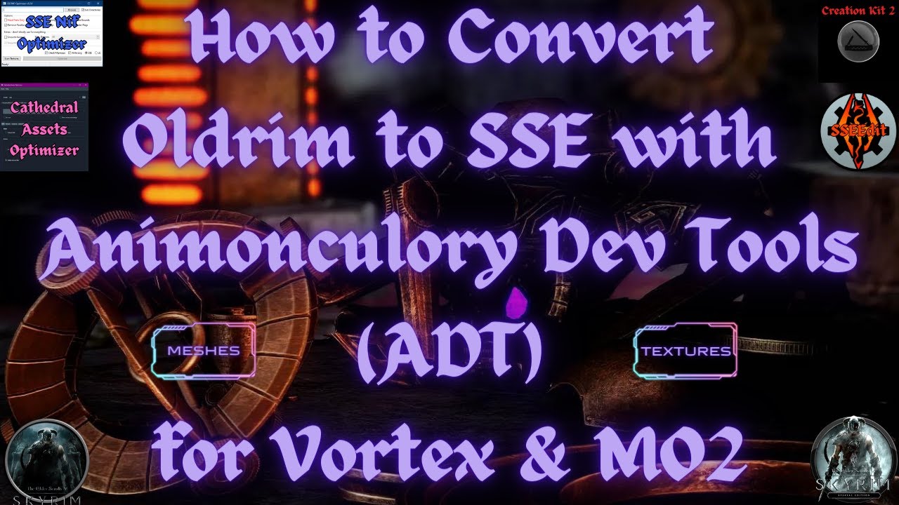 How to Convert Skyrim to SkyrimSE with Vortex & MO2 (Read the Update Note)