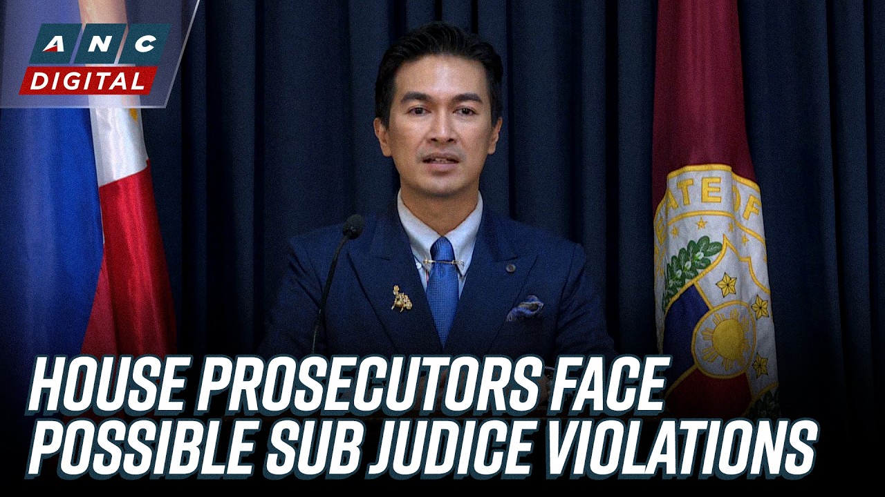 Two prosecution panel members face show cause orders over alleged sub judice violations | ANC