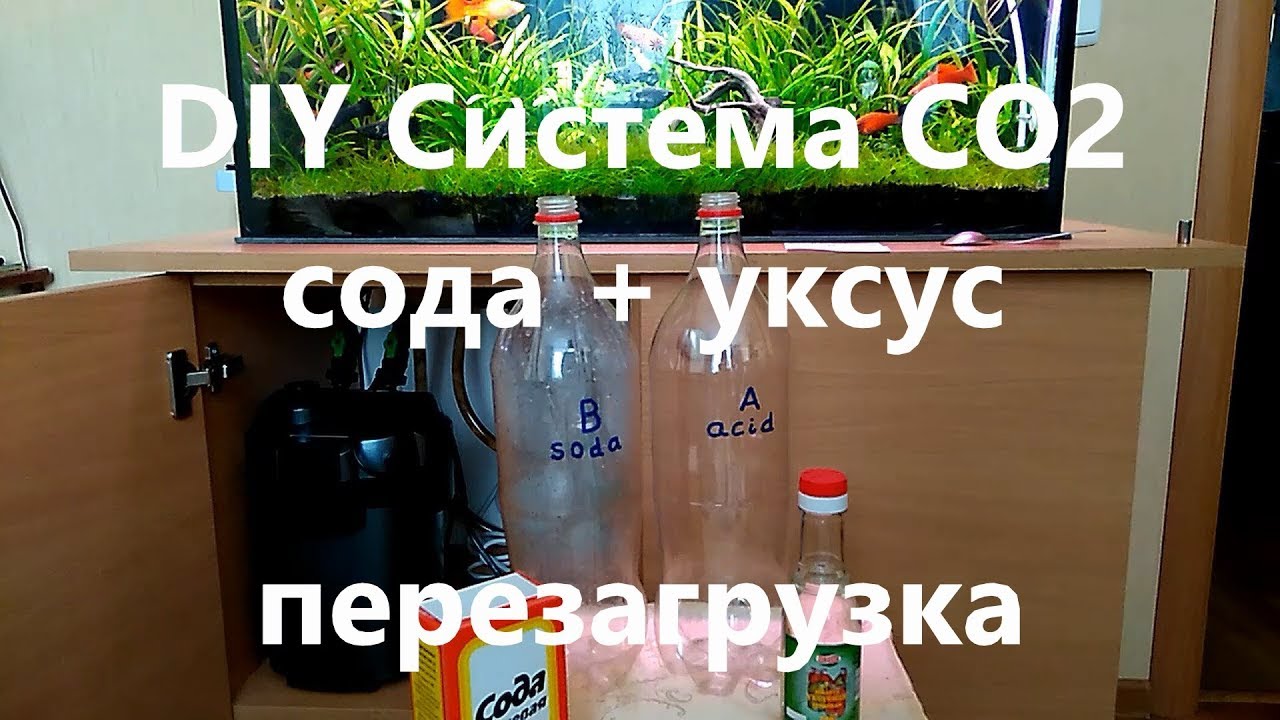 Перезагрузка DIY системы CO2 на соде и уксусной кислоте