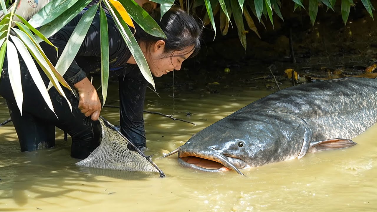 Catching 2000+ Giant Wild Catfish & Carp by Hand in Mud Pond to Sell at the Market with my Children