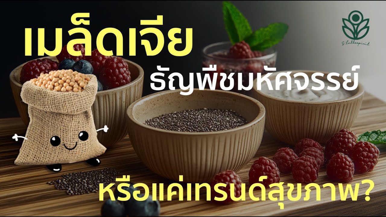 เปิดความลับเมล็ดเจีย อาหารมหัศจรรย์ หรือแค่เทรนด์สุขภาพ?