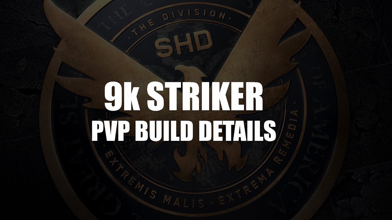 The Division 1.8.3 9k Striker PVP Build
