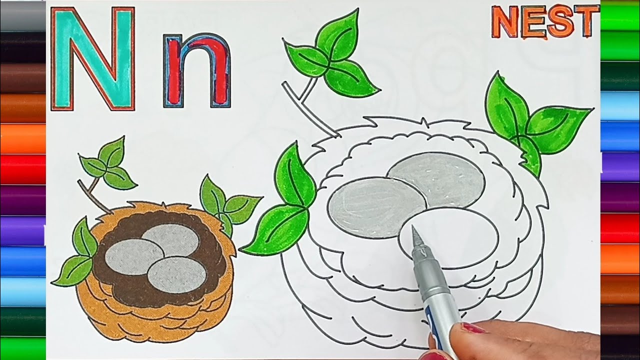 Learn Alphabets With Colourfull Drawing Objects N for NEST For Kids | ABCD alphabet for kids