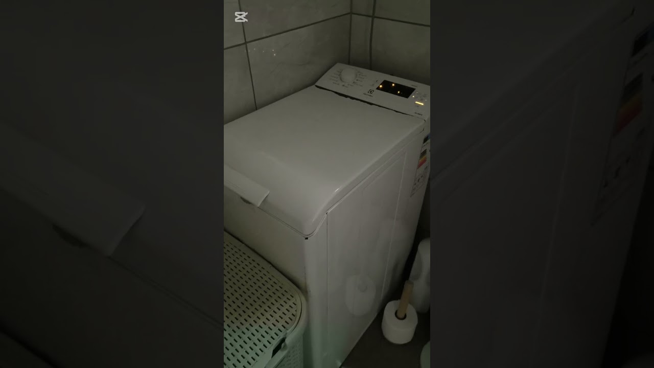 Electrolux motor died. Goodbye Electrolux.