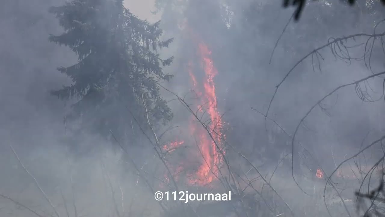 Grote bosbrand aan Berghemseweg in Nistelrode