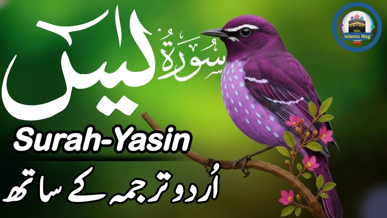 Surah Yasin with Urdu Translation Full | Beautiful Quranic Recitation with Urdu & Hindi Tarjama Ep 8