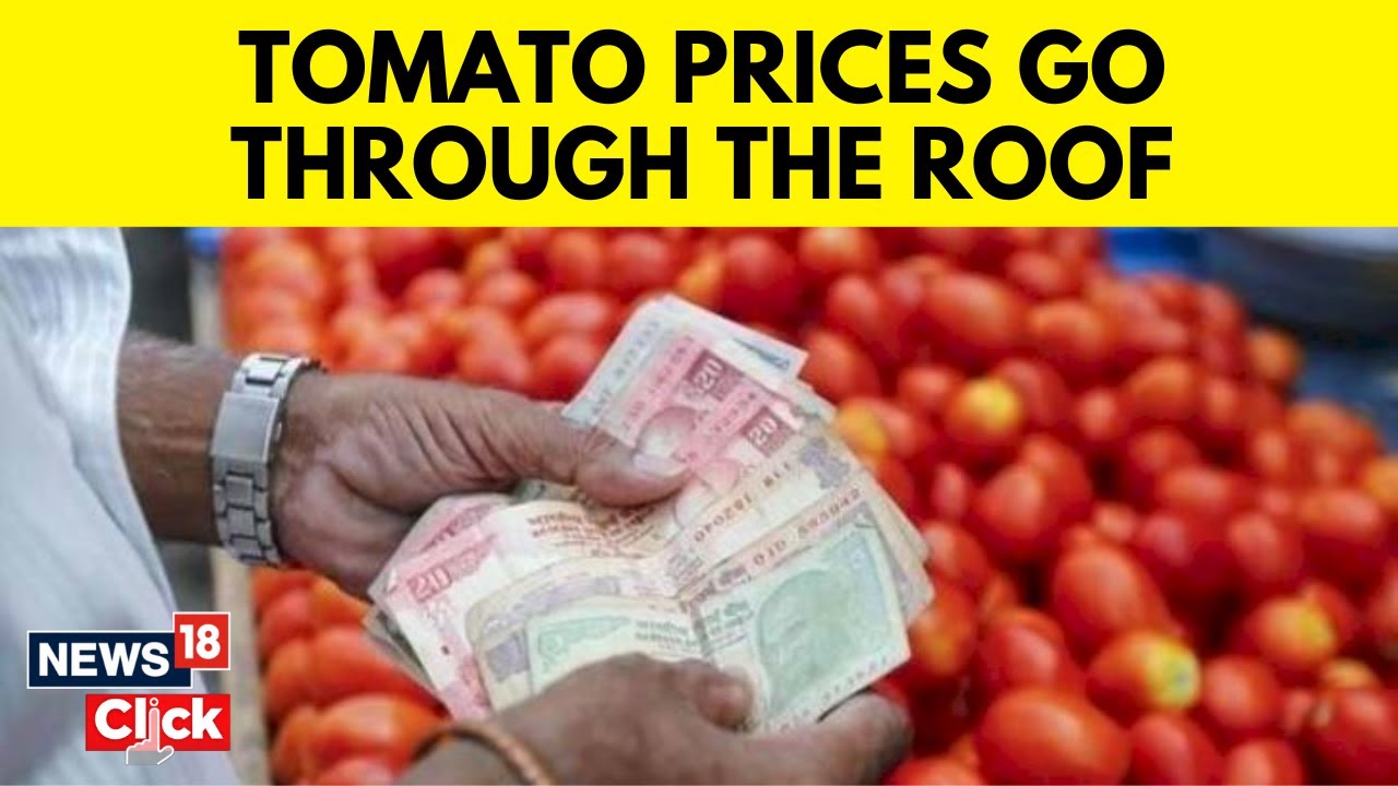 Tomato Price Hike | Tomato Price Increases All Across In India | Tomata Price Increase | News18
